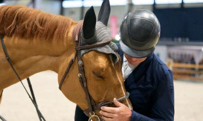 Top 5 Ways to Show Your Horse Some Love This February