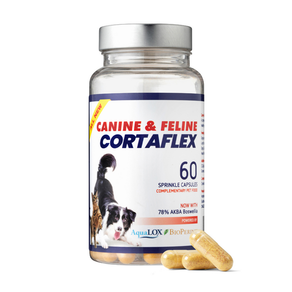 Canine cortaflex cheap